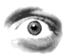 oog_a.gif (8965 bytes)